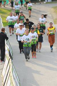 BIB: 
                            <button type="button" onclick="openModal(3550288)" class="btn btn-primary btn-sm float-right btn-popup" data-toggle="modal" data-target=".modal-high-quality">
                        <i class="fas fa-shopping-cart"></i> Add to Cart
                    </button>
                                            <button type="button" onclick="isThisMe(3550288, true)" class="btn btn-success btn-sm float-right btn-popup btn-isme hidden" data-toggle="tooltip" data-placement="bottom" title="นี่คือรูปของคุณใช่ไหม คลิกที่นี่เพื่อเอาเข้าอัลบั้ม">
                        <i class="fas fa-plus"></i> Add to album
                    </button>
                    <button type="button" onclick="isThisMe(3550288, false)" class="btn btn-warning btn-sm float-right btn-popup btn-isnotme hidden">
                        <i class="fas fa-ban"></i> Remove from album
                    </button>